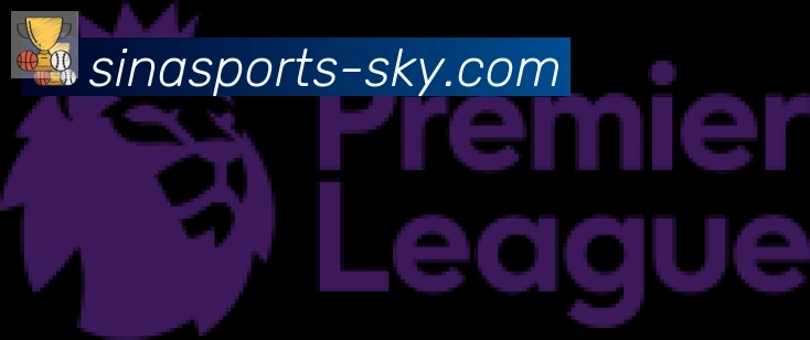 新浪体育合作伙伴